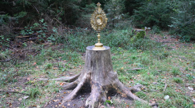 Wurzel Isais